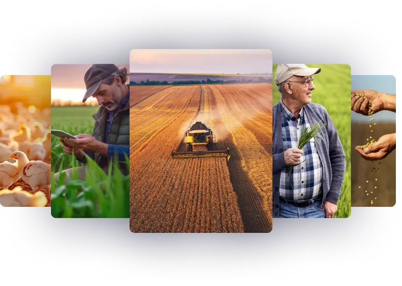 Agro e Industrial FRS